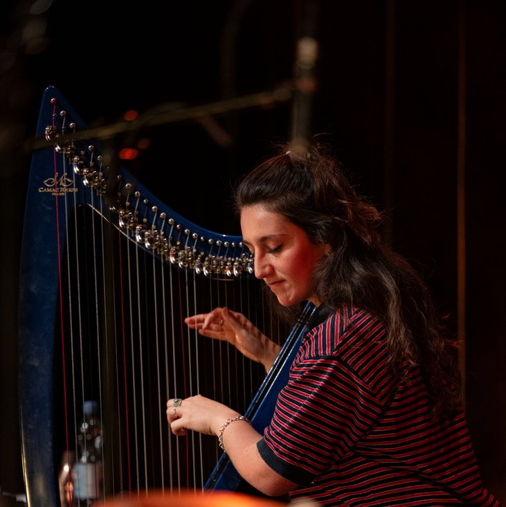 Eine Musikerin spielt E-Harfe